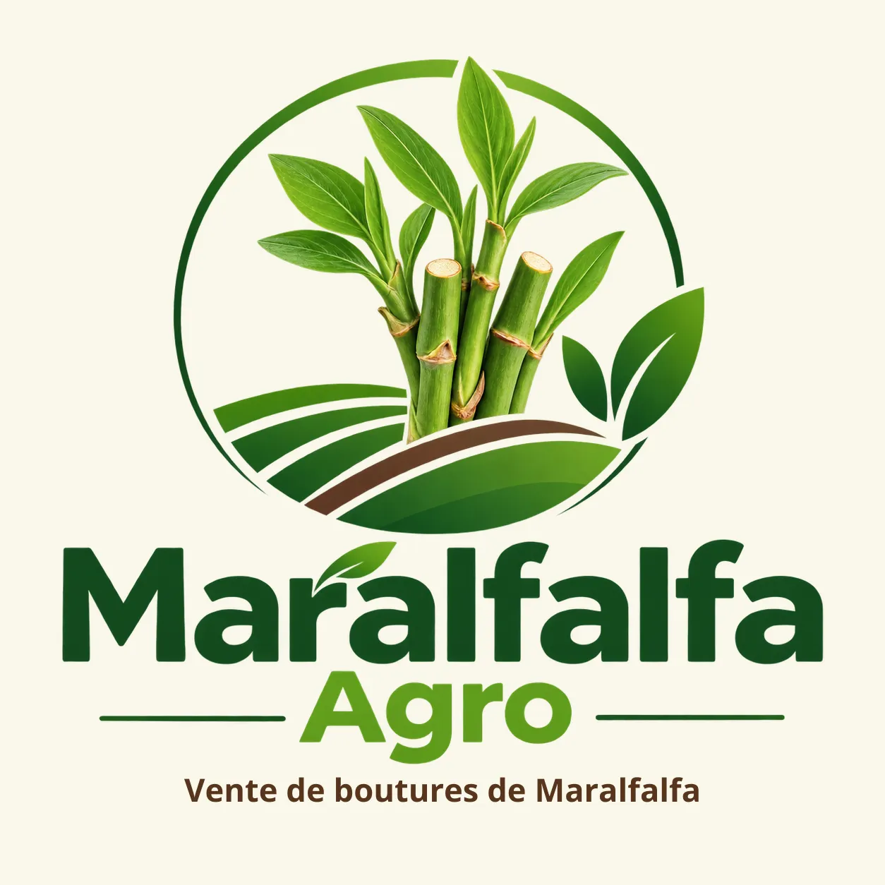 Maralfalfa Agro
